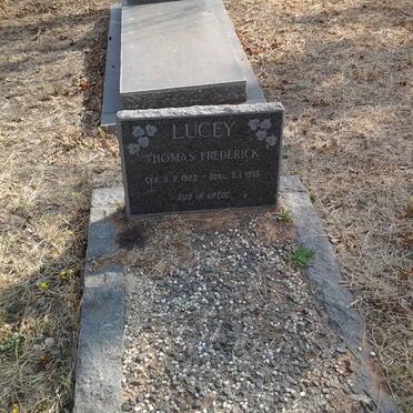 LUCEY Thomas Frederick 1920-1965