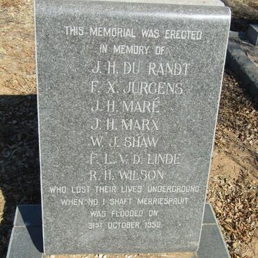 3. Merriespruit disaster 