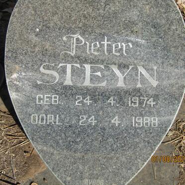 STEYN Pieter 1974-1988