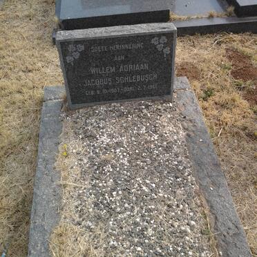 SCHLEBUSCH Willem Adriaan Jacobus 1907-1961