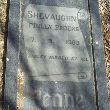 SHEVAUGHN Frilly Brooks -1983