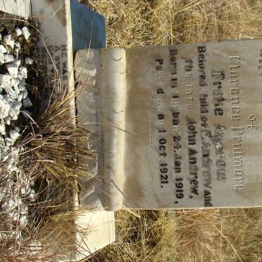 ANDREW Clarence Pridmore Drake 1919-1921