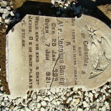 BAILEY Abel Jacobus 1909-1921