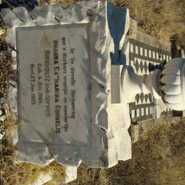 BIRKHOLTZ Johanna Catharina Cornelis nee SPRUIT 1900-1925