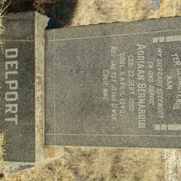 DELPORT Adriaan Bernardus 1882-1940