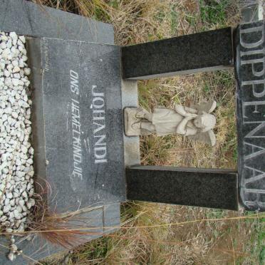 DIPPENAAR Johandi