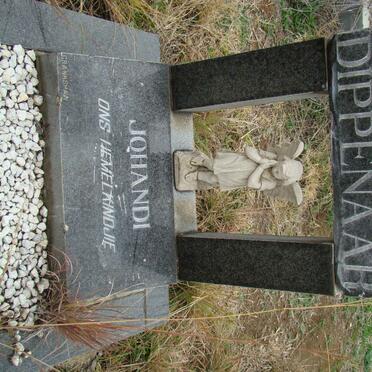 DIPPENAAR Johandi