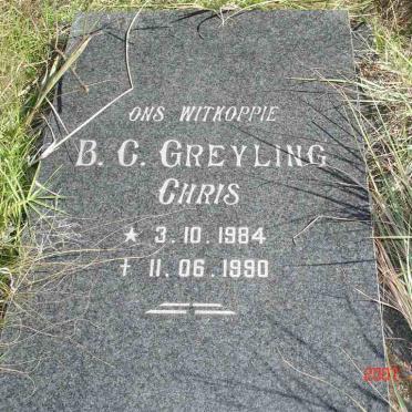 GREYLING B.C. 1984-1990