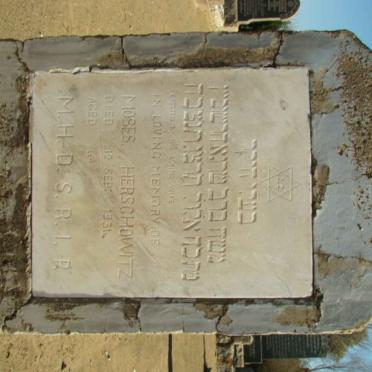 HERCSHOWITZ Moses -1931