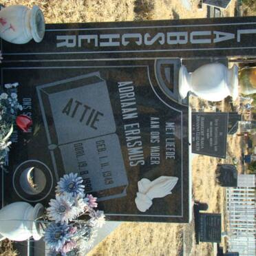 LAUBSCHER Adriaan Erasmus 1949-1990