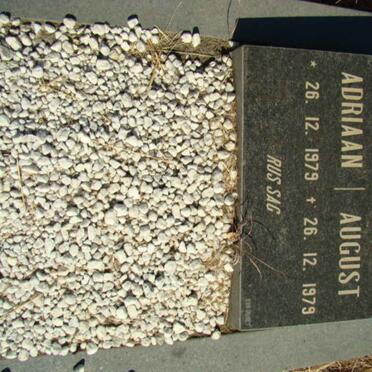 LAUBSCHER Adriaan 1979-1979 :: LAUBSCHER August 1979-1979