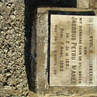 M - Surnames :: Vanne - M