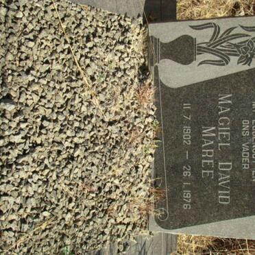 MAREE Magiel David 1902-1976