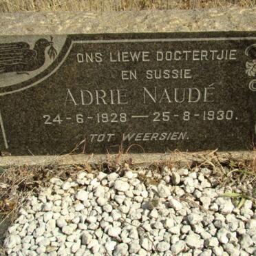 NAUDE Adrie  1928-1930