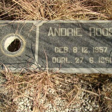 ROOS Andrie 1957-1961