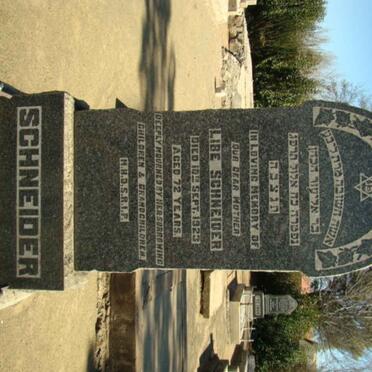 SCHNEIDER Libe -1923