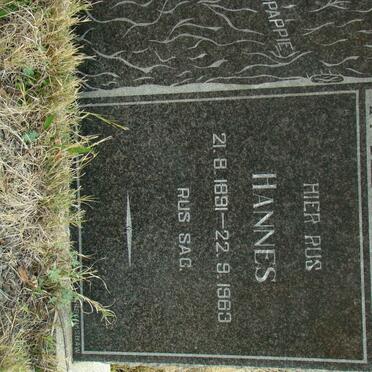 TALJAART Hannes 1891-1963