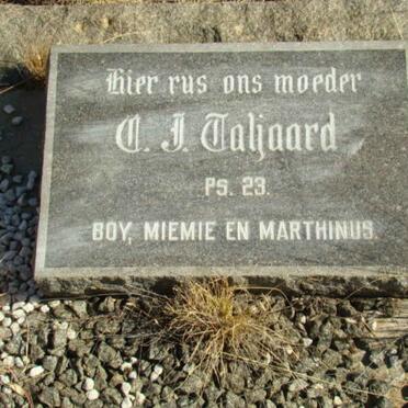 TALJAARD C.J.