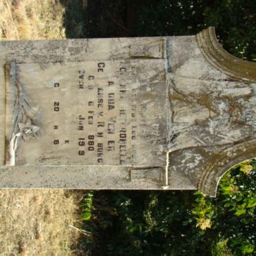 VENTER Johanna Pieteronella Jacoba nee JANSE VAN RENSBURG 1880-1919