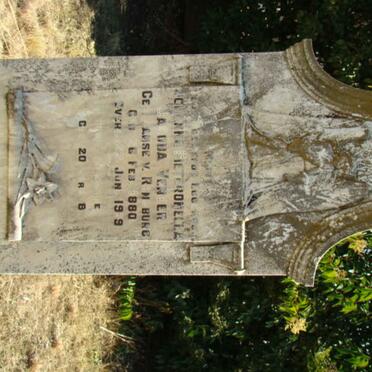 VENTER Johanna Pieteronella Jacoba nee JANSE VAN RENSBURG 1880-1919