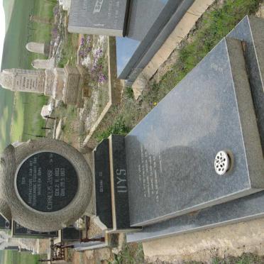Free State, VREDE district, Memel, Strijdplaas 237, Strydplaas, farm cemetery