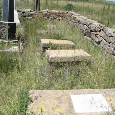 2. Overview / Oorsig