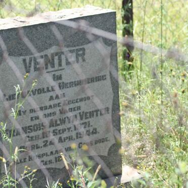 VENTER Fransois Alwyn 1871-1944