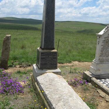 UYS Cornelis Janse -1905