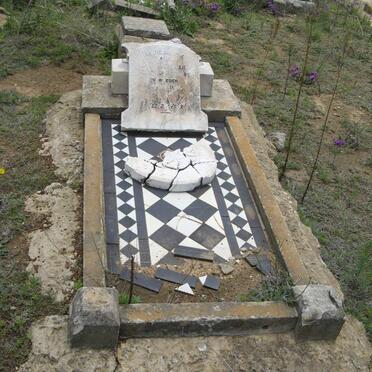 ZIETSMAN J.P. 1888-1901