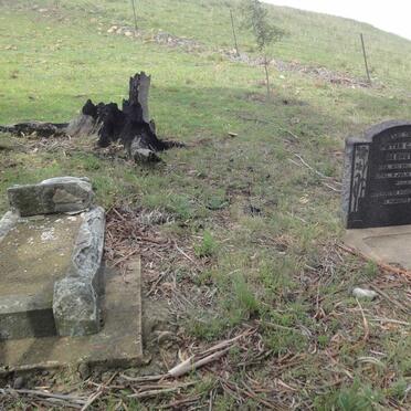 3. Oorsig / Overview