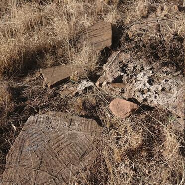 6. Oorsig / Overview