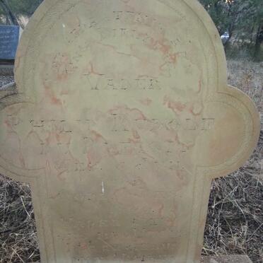 PLESSIS Philip Rudolf, du 1885-1949