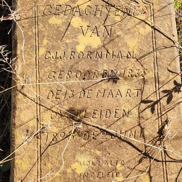 BORNMAN C.J.J. 1835-1893 _2