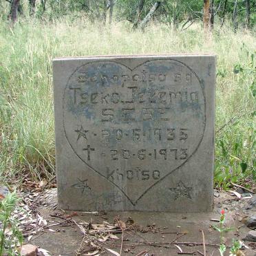 Free State, VREDEFORT district, Rebok kop 290, farm cemetery