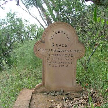 SCHOEMAN Petrus Johannes 1882-1951