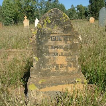 COETZEE J.P. 1916-1919