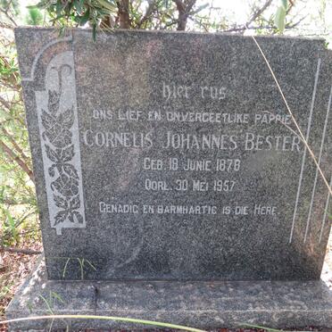 BESTER Cornelis Johannes 1878-1957