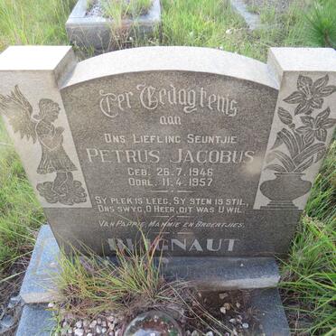 BLIGNAUT Petrus Jacobus 1946-1957