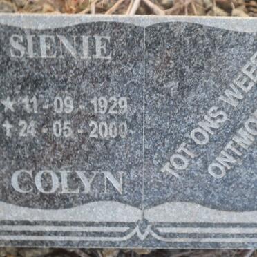 COLYN Sienie 1929-2000