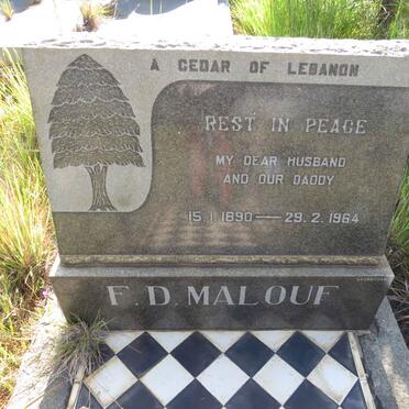 MALOUF F.D. 1890-1964