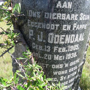 ODENDAAL P.J. 1905-1938