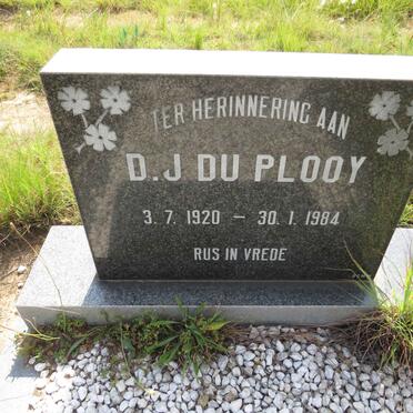 PLOOY D.J., du 1920-1984