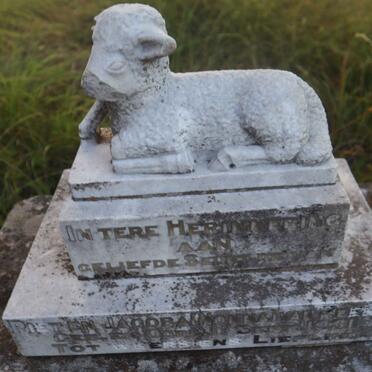 REENEN, van 1931-1931