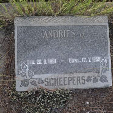 SCHEEPERS Andries J. 1891-1958