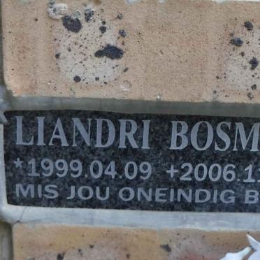 BOSMAN Liandri 1999-2006