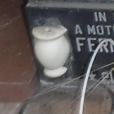 FARINHA Fernanda Sardinha 1934-1999