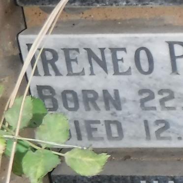PASQUINI Ireneo 1979-1990