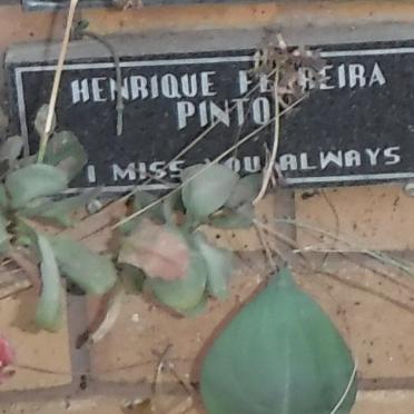 PINTO Henrique Perreira
