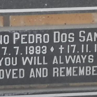 SANTOS Gino Pedro, Dos 1983-1993