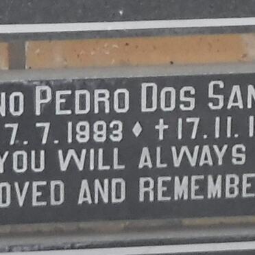 SANTOS Gino Pedro, Dos 1983-1993